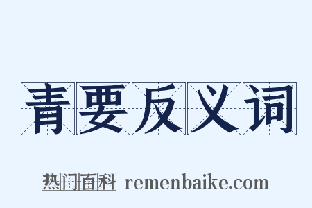 青要反义词是什么意思的图片